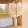 장식용 꽃 팜파스 잔디 긴 마른 식물 보호 솜털 갈대 웨딩 테이블 장식 자연 꽃 스타일 재료 모델 번호 유형