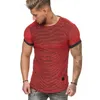 T-shirts pour hommes 2023 chemise de sport à séchage rapide Slim Fit rayé bas mode col rond haut T-shirt