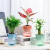 Vasi 2 strati di plastica trasparente colorata fioriera automatica assorbente d'acqua vaso di fiori pigro baccello di vivaio per piante idroponiche