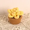 Flores decorativas Croche hecho a mano de punto en macetas plantas artificiales falsas adorno de coche de flores regalo de vacaciones de cumpleaños decoración del hogar