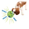 Brinquedos brinquedo do cão diversão riso sons bola pet gato cão brinquedos silicone saltando brinquedo interativo bola de treinamento para pequenos cães grandes