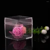 Gift Wrap 12pcs Cupcake Treat Boxes Clear With Lids Transparent Cube Holder Carrier Food Storage Containers