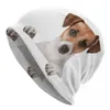 Berets Jack Russell Terrier Skullies Mützen Mützen für Männer Frauen Unisex Streetwear Winter Warme Strickmütze Erwachsener Hundeliebhaber Mützen
