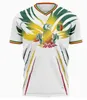 Maillot de football du Mali 23 24 Coupe d'Afrique du Mali Maillot de football version fans DOUCOURE CAMARA MAREGA SAMASSEKOU Maillot de Mali 2023 2024 Maillot de football de l'équipe nationale