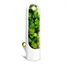 Bouteilles de stockage 2PCS Case Cup Type Food Container Conservation des légumes pour l'aneth coriandre