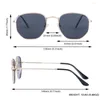 Zonnebril zeshoek gepolariseerd voor dames heren kleine metalen frame zonnebril UV400 bescherming tinten trendy retro zomer