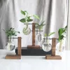 Vases Creative Glass Desktop Planter Bulb Vase Wooden Stand Hydroponic Plant Container Home Tabletop Decor 231128