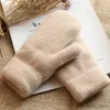 Mitaines pour enfants automne hiver hommes épaissi résistant au froid mitaine tricotée dames équitation en plein air Double couche gants chauds R231128