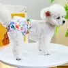 ペット犬の生理学的パンツかわいいスカートレースパンツテディサニタリーパンツ小犬