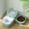 Alimentazione 1.5L Pet Dog Cat Bowl Alimentatore automatico Ciotola per cibo per cani con fontana d'acqua Doppia ciotola Puppy Drinker Waterer Ciotole per gatti