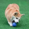 ألعاب Pet Dogs Toys غير القابلة للتدمير كرات لعبة مع ألعاب تفاعلية متطورة لجرو الكلب الكبير جرو كرة صلبة مطاطية