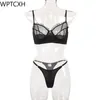 Sexy Set est Two Piece Set Luxury Lace Sexy Porn Underwear Women Set Mesh See Through Thong Bra Lingerie Fine Transparent Ladies 231128