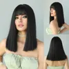 Synthetic Wigs Women's Black Long Hair Wigs