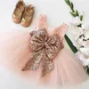 Girl Dresses Flower Hand Made Flowers Velvet Little Wedding Communion Pageant Gowns