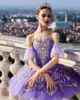 Dancewear roxo ballet tutu personalização profissional vestido de balé de alta qualidade saia de gaze adulto traje de desempenho das crianças 231127