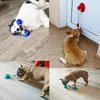 Toys Dog Toys Sug Cup Push Ball Ring Puller Antibite Floating Interactive Supplies Dog Toys Aggressiv tugga