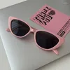 Solglasögon Pink Cat Eye Female Tawny Summer High-klass Male Sunscreen Net Red Retro Fashion Glasses