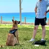 Dog Harness Vest ID Patch Anpassad reflekterande andningsbar justerbar husdjurssele för hund No Pull Pet Outdoor Harness