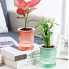 Vasi 2 strati di plastica trasparente colorata fioriera automatica assorbente d'acqua vaso di fiori pigro baccello di vivaio per piante idroponiche