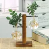 Vazen Creatieve Glazen Desktop Planter Lamp Vaas Houten Stand Hydrocultuur Plant Container Thuis Tafelblad Decor 231128