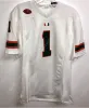 Hurricanes Miami Football Jersey Frank Gore Reggie Wayne Vince Wilfork Devin Hester Clinton Portis Edgerrin James Willis McGahee Greg Olsen High