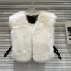 Gilet da donna BORVEMAYS Gilet invernale in pelliccia sintetica Casual All-match Scollo a V senza maniche Tinta unita Aggiungi cotone Mantieni caldo Cappotto Donna WZ7379