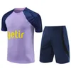 2023 2024 Kane Hojbjerg Son Training Short Sleeve Kit 축구 유니폼 Skipp Richarlison Perisic Romero Kulusevski Lucas 축구 셔츠 조끼 정장