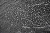 جاكيتات ركوب الدراجات Darevie Cycling Raincoat Man Ultralight Summer Women Long Cycling Rain Coat قابلة للطي قابلة للانعكاس معطف المطر الجاف السريع 231127