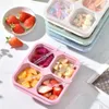 Contenitori da asporto Snack riutilizzabili 4 scomparti divisi Bento Box Preparazione dei pasti con snack Frutta Noci Caramelle Durevoli