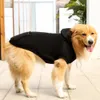 Hundebekleidung Welpen-Hunde-Kapuzenpullover für kleine und mittelgroße Hunde, Kapuzen-Sweatshirt mit Taschenhut, Haustier-Kleidung, Pullover, Katzen-Kapuzenpullover, Mantel, Winter, 231129