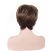 Synthetic Wigs Wig Women's Mixed Color Gradual Change Short Straight ffy Chemical Fiber Hair