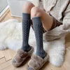 Socken Strumpfwaren Frauen Baumwolle Einfarbig Lange Socken Strümpfe Warme Socken Oberschenkel Hohe Socken Damen Mädchen Street Fashion Casual Kniestrümpfe 231128