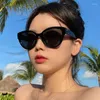 Sunglasses Cat Eye Shape Women's Korean Style UV400 Protection For Men Women High Quality Male Female Sun Glasses