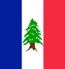 The French Mandate of Lebanon Ensign Flag National Flag 3ft x 5ft Polyester Banner Flying 150 90cm Custom flag outdoor8506533