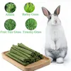 Toys Pack of 30 Natural Timothy Hay Stick Chew Toys Guinea Pig Chinchilla Rabbit Hamster Squirrel och andra små djur