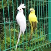 Objetos decorativos Figuras 25cm Simulação artesanal Parrot Parrot Creative Feather Lawn Ornament Animal Bird Garden Prop Decoration 1213141516cm 230428