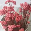 Dekorativa blommor 50 g naturlig hir frukt torkad blomma juldekorationer för hem 2023 träd brud buketter alla hjärtans dag pampas