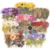 Confezione regalo, set di adesivi a tema fiori pressati da 320 pezzi, decalcomanie in resina, diario floreale botanico per forniture di album