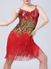 Bühnenkleidung mit V-Ausschnitt, sexy Latin-Kleid, Tanzen, Gesellschaftstanz, Rumba, Samba, Erwachsene, Cha Tango, Standard-Salsa, Paillettenquaste