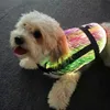 Impermeável Pet Dog Cat Golden Retriever Samo Husky Led RGB Cor Fibra Óptica Light Up Roupas Collar Builtin Bateria