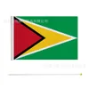Modeontwerper Guyana vlag 14*21cm maat Guyana hand wapperende vlag handgemaakte graffiti Katoen Kleurrijke Zakdoeken wit