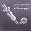 Thick Pyrex Glass Oil Burner Pipes with 30mm Ball Glass Collector Straw Oil Rig Bubbler Smoking Water Pipe Smoking Accessories Accept Personalized Custom Logo