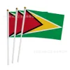 Moda tasarımcısı Guyana bayrağı 14*21cm boyutu Guyana El Sallama Bayrağı El yapımı grafiti pamuk renkli mendiller beyaz