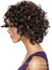 Synthetic Wigs Women's Black Headgear Small Curly Wig Headgear Rose Net Wig