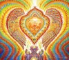 Плакат 32x24quot 17x13quot Trippy Alex Grey настенный постер с принтом домашнего декора настенные наклейки плакат Decal0524578924