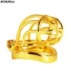 Liten Cock Cage Male Golden Chastity Lock Device Metal Penis Ring BDSM Vuxen Game Fantasty Bondage Sex Toys For Man P0826