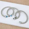 Verstelbare armbanden Bangle Bracelet Charm Sliver Designer Mode-sieraden Kabel Klassiekers Prinses Hoge kwaliteit met Amethist Toap291a