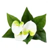 Dekorative Blumen 2 Stück 9/12 Zweige 3D-Handgefühl Anthurium Andraeanum Paradiesvogel Grüne Pflanze Topfpflanzen Wohnzimmerpflanzen Heimdekoration