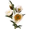 Decoratieve bloemen Gedroogde yu Beauty Artificial Poppies Cuttings Beautiful Silk Cloth Plastic Diy Wedding Christmas Party Home Decoratie