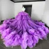 Purple arabski Dubai Quinceanera Sukienki 2023 OF THE BRIDE Sleeves Vestido de Novia Prom Dress Guns Plus Size 328 328